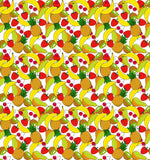 Fruit Design Fabric - Fruit Burst