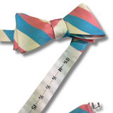 Blue & Pink Striped Bow Tie - 6cm Classic Bow